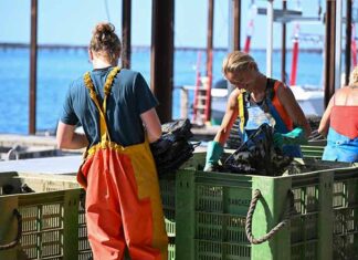 Le Conchylitour, un nouveau concept qui valorise le patrimoine conchylicole de l’Hérault Le Conchylitour, un nouveau concept qui valorise le patrimoine conchylicole de l’Hérault