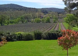 La 11e édition du Fascinant Week-end du 17 au 20 octobre Le fascinant week-end, à la découverte des terroirs viticoles de l'Occitanie
