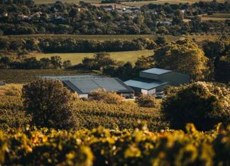 Focus de l’Observatoire Viticole sur les labels en viticulture raisonnée (2e partie) Focus de l’Observatoire Viticole sur les labels en viticulture raisonnée