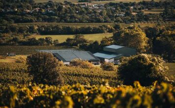 Focus de l’Observatoire Viticole sur les labels en viticulture raisonnée (2e partie) Focus de l’Observatoire Viticole sur les labels en viticulture raisonnée