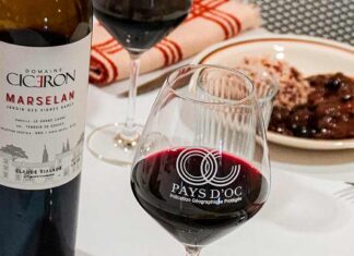 À la découverte des cépages : le marselan Découvrez le marselan, un cépage améliorateur, avec la Cuvée Le Jardin des Vignes Rares - Marselan du château Ciceron en IGP Pays d’Oc