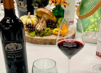 À la découverte des cépages : le cabernet sauvignon Découvrez le cabernet sauvignon en Pays d'Oc IGP avec la Tête de cuvée du Domaine de la Jasse