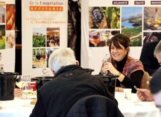 Le concours régional des vins de la Coopération d’Occitanie célèbre l’excellence des vins issus des coopératives régionales ! Dégustation du jury du concours des vins de la Coopération d’Occitanie