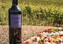 Découvrez le cépage malbec avec la cuvée Camas Malbec 2024 de la cave Anne de Joyeuse en IGP Pays d’Oc