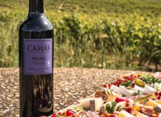 À la découverte des cépages : le malbec Découvrez le cépage malbec avec la cuvée Camas Malbec 2024 de la cave Anne de Joyeuse en IGP Pays d’Oc