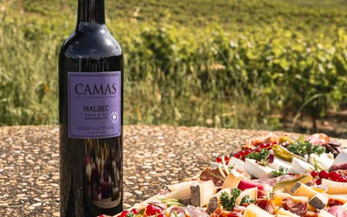 Découvrez le cépage malbec avec la cuvée Camas Malbec 2024 de la cave Anne de Joyeuse en IGP Pays d’Oc