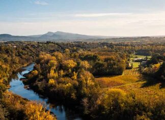 IGP Cévennes : une extension historique et des cépages d’avenir Terroir de l'IGP Cévennes : une extension historique et des cépages d’avenir