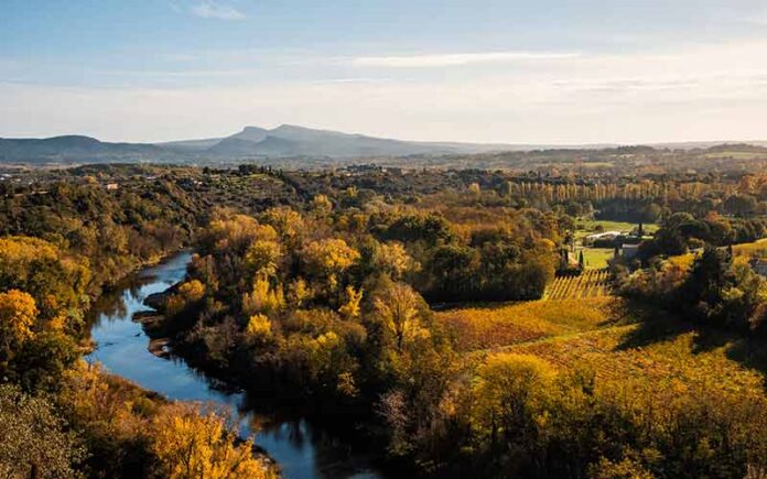 Terroir de l'IGP Cévennes : une extension historique et des cépages d’avenir