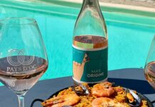 Découvrez le cinsault avec la cuvée du Mas Origine en IGP Pays d'Oc