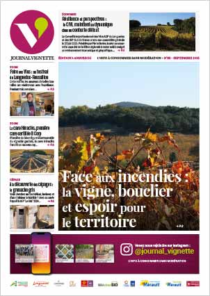 actualite-vin-journal-vignette-telechargement-pdf-095