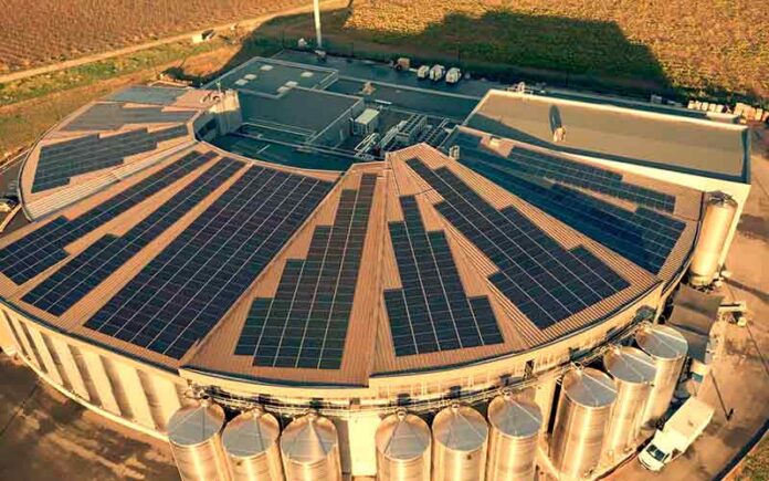 La cave Héraclès, première cave coopérative française certifiée B Corp