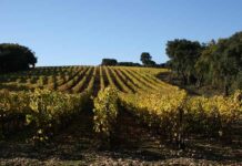 Résilience et perspectives : le CIVL maintient sa dynamique dans un contexte délicat Résilience et perspectives : le CIVL maintient sa dynamique dans un contexte délicat