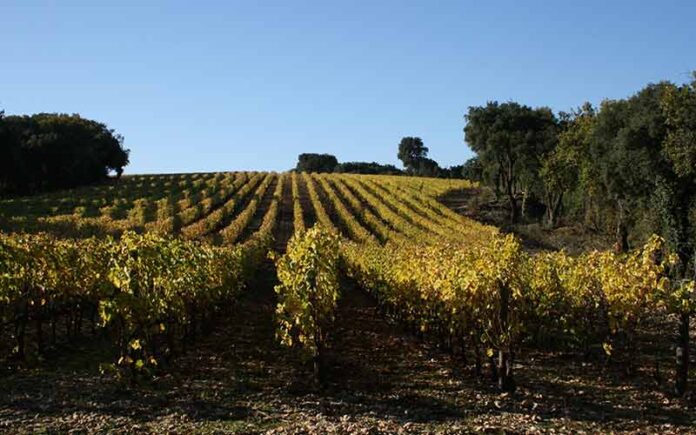 Résilience et perspectives : le CIVL maintient sa dynamique dans un contexte délicat
