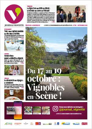 actualite-vin-journal-vignette-telechargement-pdf-096