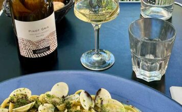 À la découverte des cépages : le pinot gris Découvrez le pinot gris avec la cuvée Belles Rangées du Domaine Vendéole en IGP Pays d'Oc