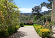 Du 17 au 19 octobre : Vignobles en Scène ! Du 17 au 19 octobre : Vignobles en Scène !