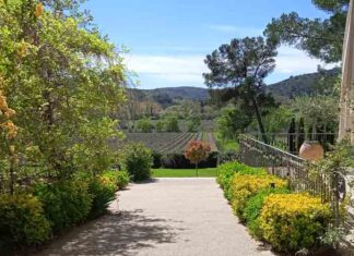 Du 17 au 19 octobre : Vignobles en Scène ! Du 17 au 19 octobre : Vignobles en Scène !