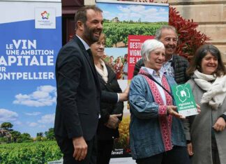 Montpellier Méditerranée Métropole adopte ses nouvelles feuilles de route Vin et Œnotourisme Montpellier Méditerranée Métropole adopte ses nouvelles feuilles de route Vin et Œnotourisme