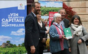 Montpellier Méditerranée Métropole adopte ses nouvelles feuilles de route Vin et Œnotourisme Montpellier Méditerranée Métropole adopte ses nouvelles feuilles de route Vin et Œnotourisme