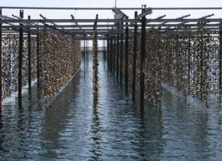 Tourisme durable : l’Occitanie largement récompensée Tourisme durable : l’Occitanie largement récompensée lors des Green Awards