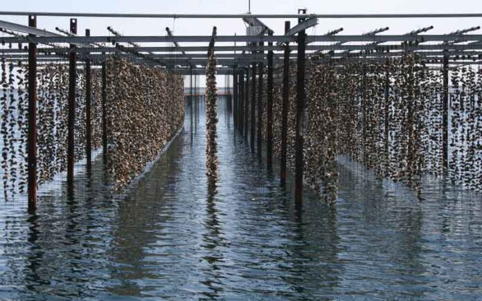 tourisme-durable-occitanie-recompensee-green-destinations-awards Tourisme durable : l’Occitanie largement récompensée lors des Green Awards