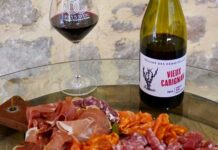 À la découverte des cépages : le carignan